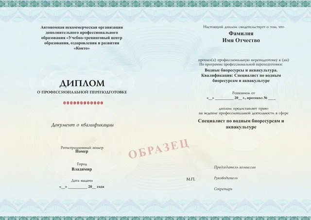 Образец документа «Диплом о профессиональной переподготовке» по программе 77.37 «Профессиональная переподготовка — программа 77.37»