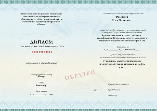 Образец документа «Диплом о профессиональной переподготовке» по программе 43.01 «Бурение нефтяных и газовых скважин»