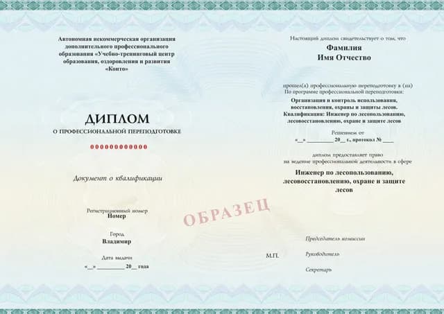 Образец документа «Диплом о профессиональной переподготовке» по программе 77.34 «Профессиональная переподготовка — программа 77.34»
