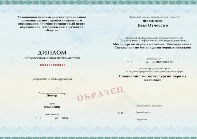 Образец документа «Диплом о профессиональной переподготовке» по программе 38.02 «Профессиональная переподготовка по металлургии чёрных металлов»