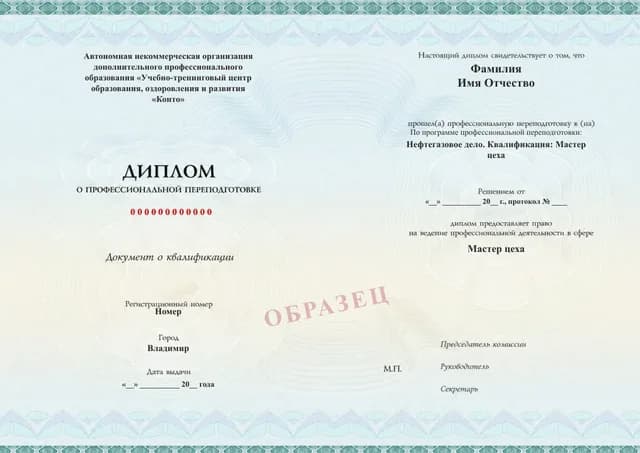 Образец документа «Диплом о профессиональной переподготовке» по программе 43.09 «Нефтегазовое дело. Квалификация: Мастер цеха»