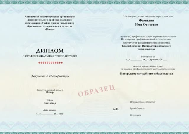 Образец документа «Диплом о профессиональной переподготовке» по программе 77.05 «Профессиональная переподготовка — программа 77.05»