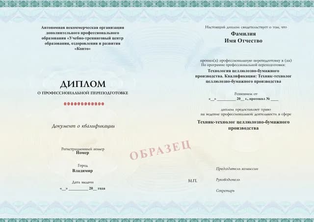 Образец документа «Диплом о профессиональной переподготовке» по программе 29.10 «Технология целлюлозно-бумажного производства»