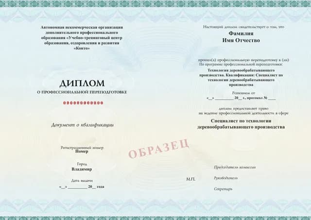 Образец документа «Диплом о профессиональной переподготовке» по программе 29.11 «Обучение по технологии деревообработки»